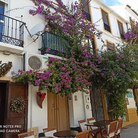 Bambino Playa Marbella